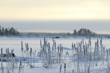 Landscape from Finland. Freezing weather at winter.