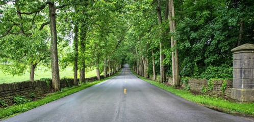 Old Frankfort Pike in Kentucky is lined with historic stone fences and world famous horse farms....