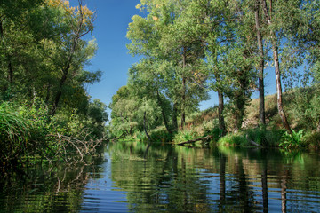 Fototapeta na wymiar river among the trees