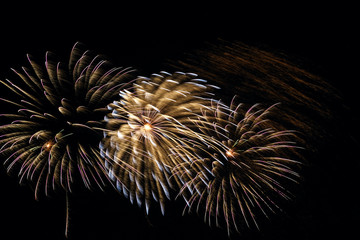 fragment of holiday fireworks