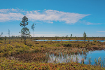 northern landscape, autumn