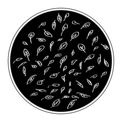 Simple doodle of some leaves