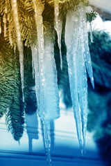  icicles from  ice