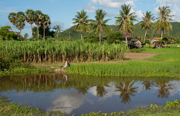 Man hand washing clothes in the lake, Battambang/Cambodia. 