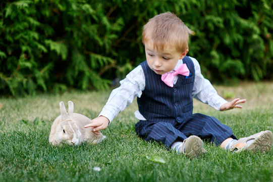 little boy in a suit playing with a rabbit on the grass