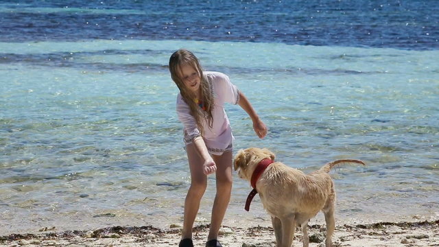 Girl playing with a dog on the beach