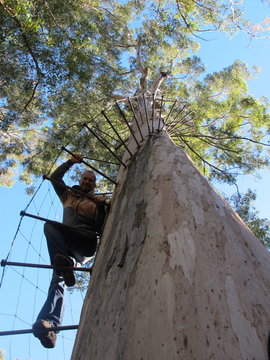 Dave Evans Bicentennial Tree, in Warren National Park, Western  Australia
