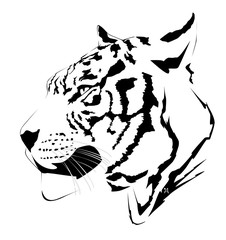 Ilustración de un tigre