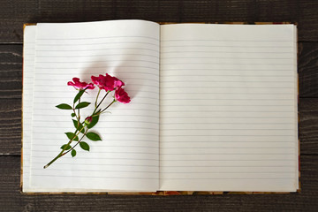 Opened blank notebook and roses