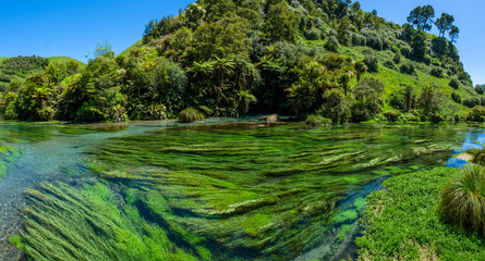 Blue Spring which is located at Te Waihou Walkway,Hamilton New Zealand. It internationally acclaimed supplies around 70% of New Zealand’s bottled water because of the pure water.