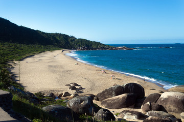 Fototapeta na wymiar Balneario Camboriu - Brazil - View of Taquarinhas Beach
