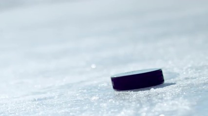 Hockey puck falling onto ice and being picked up by a gloved hand. - Powered by Adobe