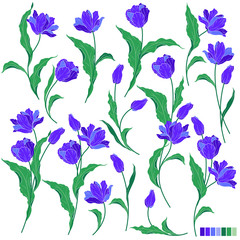 チューリップの素材