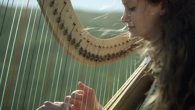 Outdoor Orchestra - Harp