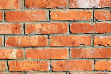 Brick wall. background