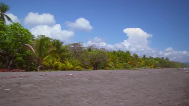 Footage of tropical beach, pans to record building behind trees