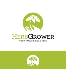 agriculture or gardening logo design Hand holding new plant 
