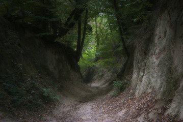 Korzeniowy Dół 6 © Tomek Kiecana