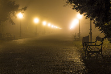 Foggy scene in a Maksimir park in Zagreb