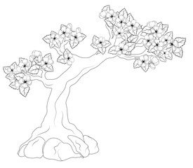Coloring book: blooming tree