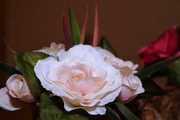 White Rose close up