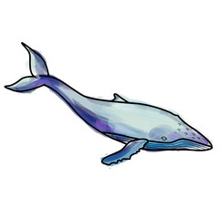 Grunge humpback whale illustration