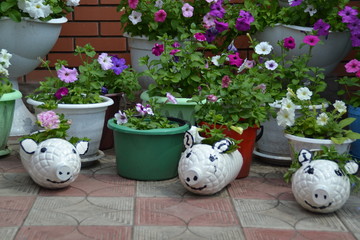 Клумба