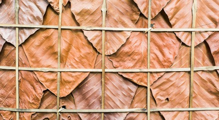 Dry leaf pattern, background