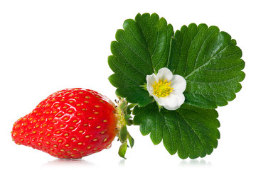 Ripe sweet strawberry
