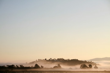Landscape view of hills above misty clouds on the sunrise sky background