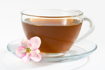 isolated image of a cup of tea on a white background