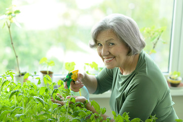 Senior woman planting sprouts