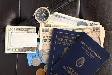 Naklejka premium passport and money