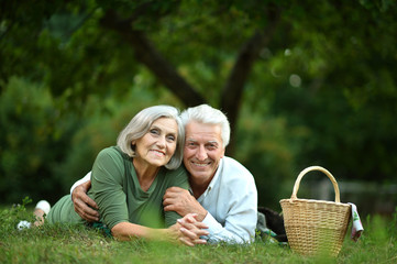 Couple having picnic