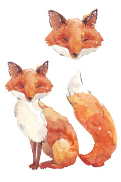 fox watercolor stylization