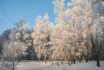 Зимний пейзаж