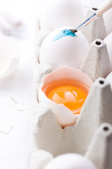 Eggs with yolk in a cardboard for Easter, decorating egg with blue colour. selective focus..