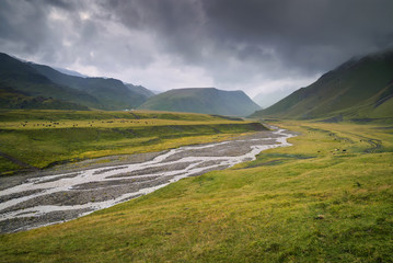 Fototapeta na wymiar River in the mountain valley during rain. Beautiful natural landscape