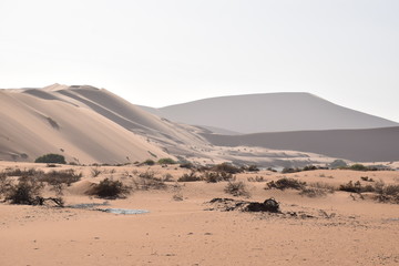 Wüstenlandschaft