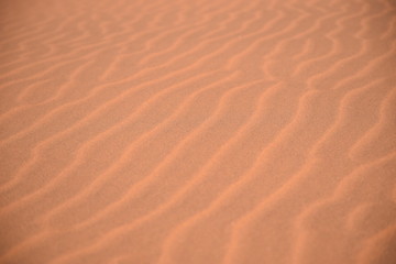 Fototapeta na wymiar Roter Wüstensand mit vom Wind geformten Wellen