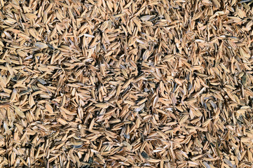 Rice peel. Background.