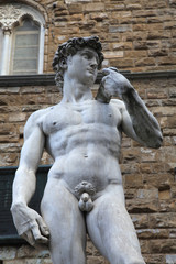 David statue by Michelangelo Buonarroti, Florence, Italy