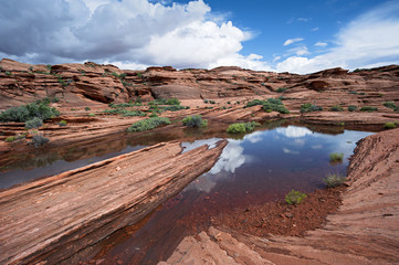 Arizona Desert Pond at Horseshue Bend