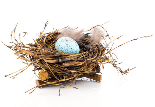 Easter egg in birds nest isolated on white background