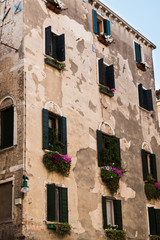 Fototapeta na wymiar Old Facade in Venice with green vegetation and flowers under som