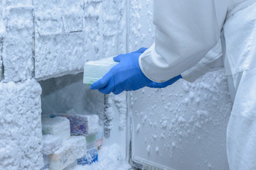 Scientist is putting frozen samples into freezer