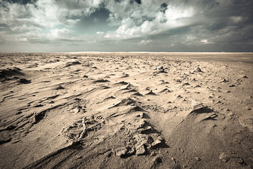 Plage  d'Espiguette, avec effet du vent et filtré