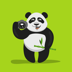 Vector illustration of funny panda holding the camera