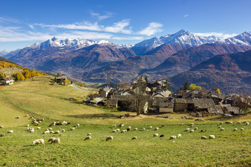 Fototapeta na wymiar Allevamento di pecore in montagna