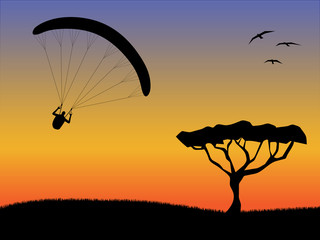 Silhouettes of paragliding with tree